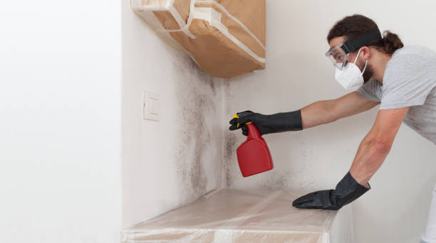 Professional Attic Mold Remediation technician working in Gladstone, NJ