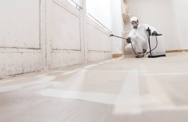 24/7 Emergency Attic Mold Remediation experts in Gladstone, NJ