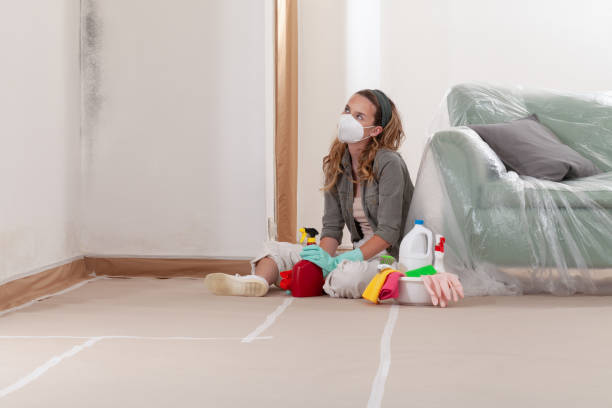 Reliable Attic Mold Remediation contractor in Gladstone, NJ by Car Mold Remediation