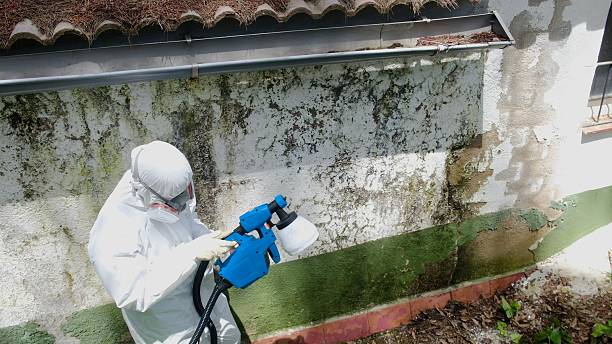 Top rated local Attic Mold Remediation specialists in Gladstone, NJ